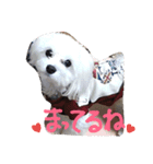我が家の可愛い日常2（個別スタンプ：14）