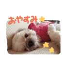 我が家の可愛い日常2（個別スタンプ：16）