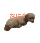 レディすたんぷ1（個別スタンプ：3）