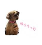 レディすたんぷ1（個別スタンプ：7）