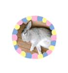 dddjuuo（個別スタンプ：8）