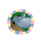 dddjuuo（個別スタンプ：15）