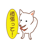 白色ふんわりお犬様（個別スタンプ：2）