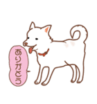 白色ふんわりお犬様（個別スタンプ：7）