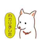 白色ふんわりお犬様（個別スタンプ：9）