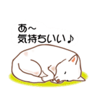 白色ふんわりお犬様（個別スタンプ：11）