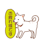 白色ふんわりお犬様（個別スタンプ：13）