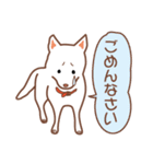 白色ふんわりお犬様（個別スタンプ：14）