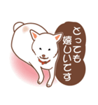 白色ふんわりお犬様（個別スタンプ：28）