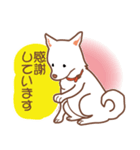 白色ふんわりお犬様（個別スタンプ：29）