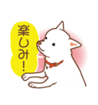 白色ふんわりお犬様（個別スタンプ：30）