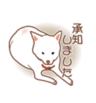 白色ふんわりお犬様（個別スタンプ：31）