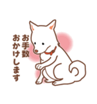 白色ふんわりお犬様（個別スタンプ：34）