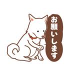 白色ふんわりお犬様（個別スタンプ：35）