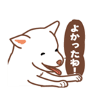 白色ふんわりお犬様（個別スタンプ：36）