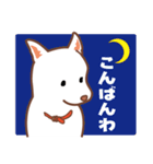 白色ふんわりお犬様（個別スタンプ：37）