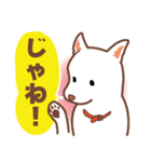 白色ふんわりお犬様（個別スタンプ：38）