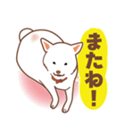 白色ふんわりお犬様（個別スタンプ：39）