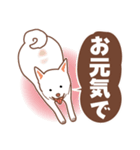 白色ふんわりお犬様（個別スタンプ：40）