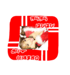 きらはぴ♡はもにゃん Winter Special（個別スタンプ：1）