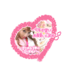 きらはぴ♡はもにゃん Winter Special（個別スタンプ：23）