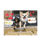 娘達の気持ち①（個別スタンプ：1）