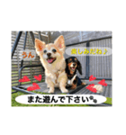 娘達の気持ち①（個別スタンプ：2）