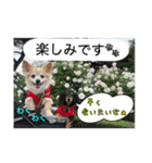 娘達の気持ち①（個別スタンプ：3）