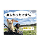 娘達の気持ち①（個別スタンプ：4）