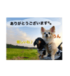 娘達の気持ち①（個別スタンプ：5）