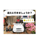 娘達の気持ち①（個別スタンプ：7）