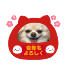 チワワの♡リリ♡ララ♡（個別スタンプ：23）