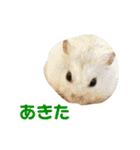 あいり動物園（個別スタンプ：18）