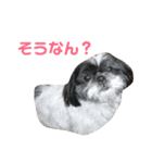 あいり動物園（個別スタンプ：21）