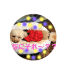 ぱーるtoぷっち（個別スタンプ：1）