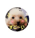 ぱーるtoぷっち（個別スタンプ：4）