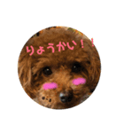 ぱーるtoぷっち（個別スタンプ：5）