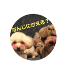 ぱーるtoぷっち（個別スタンプ：6）