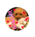ぱーるtoぷっち（個別スタンプ：7）