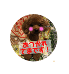 ぱーるtoぷっち（個別スタンプ：8）
