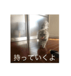 うちのキーちゃん3（個別スタンプ：4）