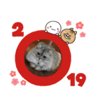 うちのキーちゃん3（個別スタンプ：20）