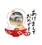 うちのキーちゃん3（個別スタンプ：25）