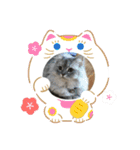 うちのキーちゃん3（個別スタンプ：28）