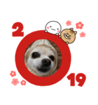 いまい家のわんこ（個別スタンプ：2）