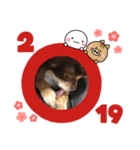 いまい家のわんこ（個別スタンプ：6）