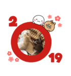 いまい家のわんこ（個別スタンプ：16）