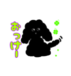 真っ黒わんわんスタンプ（個別スタンプ：5）