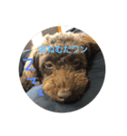 モズクただいま参上！（個別スタンプ：2）