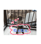 モズクただいま参上！（個別スタンプ：8）